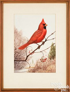 Earl Lincoln Poole, watercolor of a cardinal