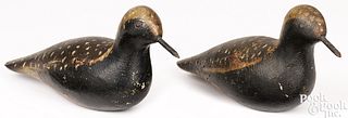 Pair of carved and painted shorebird decoys
