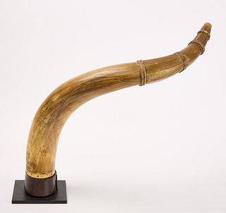 Large Scrimshaw Horn