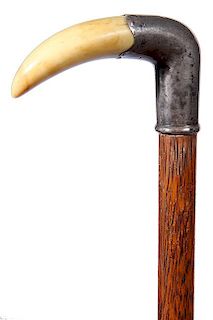 31. Nautical Dress Cane-Ca. 1870- A silver mounted whale’s tooth with its’ original patina, American oak shaft and a meta