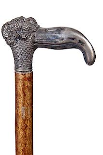 37. Silver Bird Cane-  Ca. 1880- A silver plated bird which has the appearance of a Dodo , natural branch shaft and a metal f