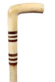 155. Sailor’s Whalebone Cane- Ca. 1865- Whale’s tooth handle and collars, there are also three shell spacers, 5/8” whal