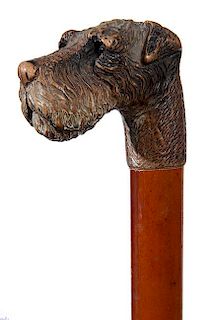 157. Airedale Carved Cane- Ca. 1925- A nicely carved English cane with is paint decorates and has two color glass eyes, thick