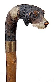 158. Spaniel Country Cane- Ca. 1925- A paint decorated English Spaniel with two color glass eyes, large gold metal collar, ca