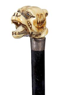 192. Walrus Tusk Bulldog Cane- Ca. 1900- A large carved bulldog with two color glass eyes and a fierce open mouth, silver met