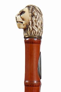 259. Walrus Sword Cane – Ca. 1880 – A carved lion walrus handle, bamboo shaft, with a blank silver metal cartouche push a