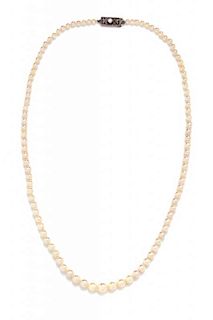 A Single Strand of Graduated Cultured Pearls, Mikimoto, 9.40 dwts.