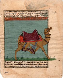 Early Moghul manuscript miniature of a camel, laid paper