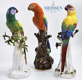 19th C. Lot Of Three Meissen Porcelain Figures of Parrots