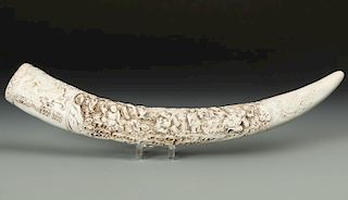 Old Asian Horn