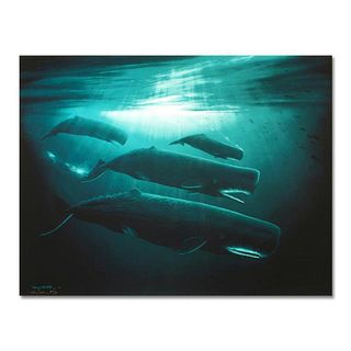 Wyland, "The Great Sperm Whale" Hand Embellished Limited Edition Cibachrome, Numbered and Hand Signed with Certificate of Authenticity.