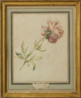 ATTRIBUTED TO GEORGIUS JACOBUS JOHANNES VAN OS (1782-1861): PEONY; AND SPRAY OF FLOWERS