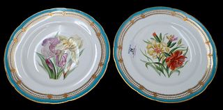 Set of 12 French Porcelain Plates