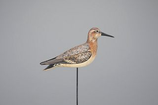 Least Sandpiper by William Gibian (b. 1946)