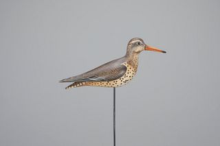 Spotted Sandpiper by William Gibian (b. 1946)