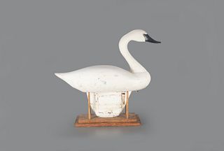 Early Swan Decoy by R. Madison Mitchell (1901-1993)