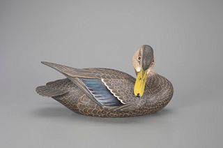 Outstanding Preening Black Duck Decoy by Oliver "Tuts" Lawson (b. 1938)