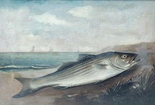 Walter M. Brackett (1823-1919), Striped Bass