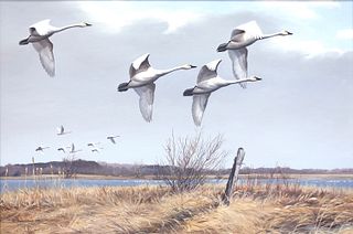 Maynard Reece (1920-2020), Regal Flight - Whistling Swans