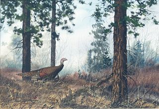 David Hagerbaumer (1921-2014), Wild Turkey