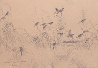 Frank W. Benson (1862-1951), Blackbirds and Rushes