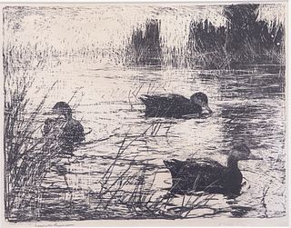 Frank W. Benson (1862-1951), Black Ducks