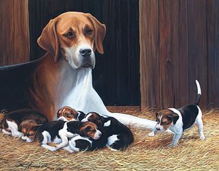 Stephen Hubbell (20th/21st Centuries), Hound with Puppies
