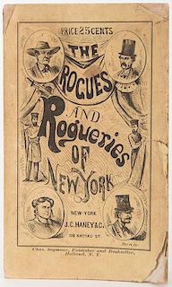 The Rogues and Rogueries of New-York.