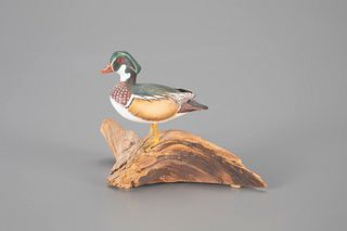 Miniature Wood Duck