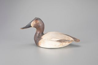 Canvasback Hen Decoy by The Ward Brothers