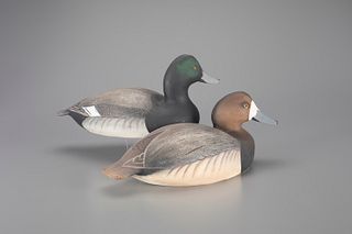 Bluebill Pair by The Ward Brothers
