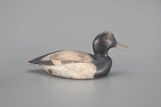 Bluebill Decoy by The Ward Brothers