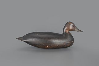 Black Duck Decoy by Harry V. Shourds (1861-1920)