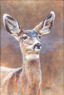 Edward (Ned) Aldrich (b. 1965), Alert Deer
