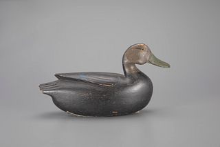 Black Duck Decoy by C. Ridgway Marter (1893-1977)