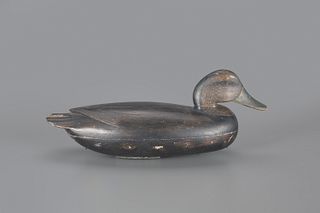 Black Duck Decoy by John English (1848-1915)