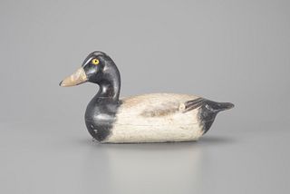 Rare Ring-Necked Drake Decoy by Henry Holmes (1870-1940)