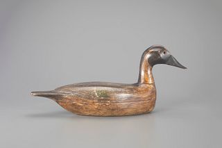 Pintail Drake Decoy by August Haas (1890-1962)