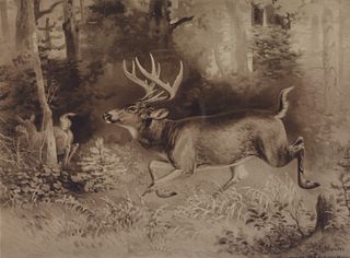 after Louis Maurer (1832-1932), Two Prints - Moose and Buck