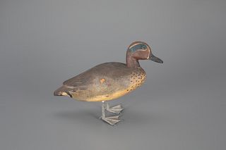 Standing Green-Winged Teal attributed to Giovanni Bergamini