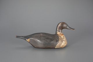 Pintail Decoy attributed to Eastman Young