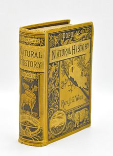 POPULAR NATURAL HISTORY HARDCOVER BY REV J. G WOOD