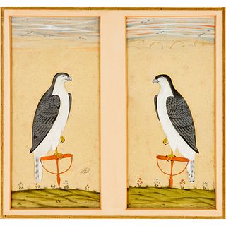 Indo-Persian School, (2) falcon gouaches, signed