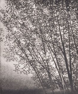 Robert Kipniss WHITE TREES Mezzotint