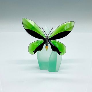 Swarovski Crystal Figurine, Butterfly Anamosa Moss Green