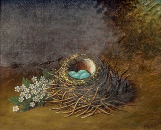 American Oil on Canvas, Still Life of Robin's Nest 19th C., "Robin Eggs", H 10" W 12"