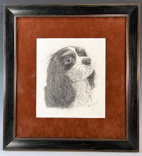 KING CHARLES SPANIEL SIGNED NUMBERED 
