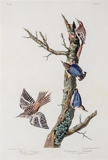 * (NATURAL HISTORY) (AUDUBON, JOHN JAMES, after) HAVELL, ROBERT. Birds of America. J. Whatman, 1837. Watermark present.