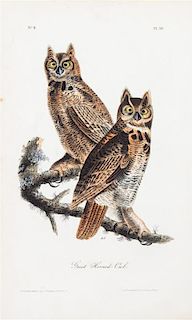 (NATURAL HISTORY) AUDUBON, JOHN JAMES. 40-plus Royal Octavo Audubon prints, some first edition; mostly birds, some quadrupeds