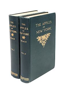 * (NATURAL HISTORY) BEACH, SPENCER A. The Apples of New York. Albany, 1905. First edition. 2 vols. 8vo. Illustrated.